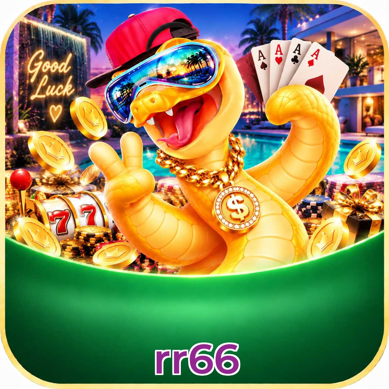 rr66 Plataforma FAQ