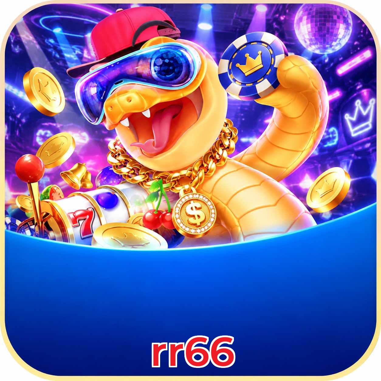 rr66 Installation Guide